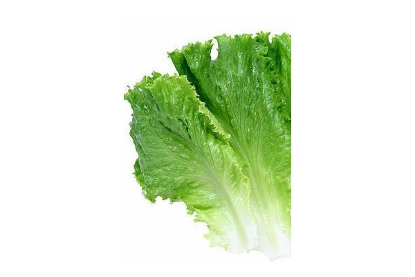 SUPPLEMENT SALADE VERTE (NEMS)